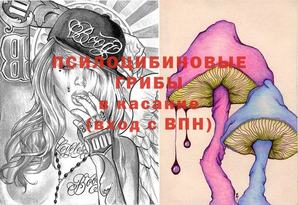 ГАЛЛЮЦИНОГЕННЫЕ ГРИБЫ Армянск