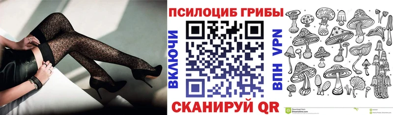 Купить  Беломорск  Псилоцибиновые грибы мицелий 